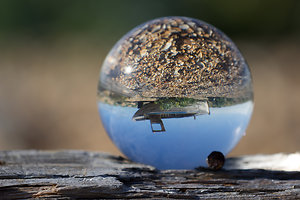 About Psychotherapy. close up boat ball